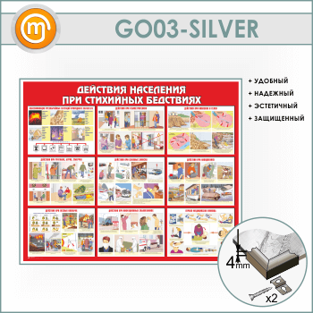 ����� ��������� ��������� ��� ��������� ���������� (GO-03-SILVER)