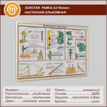 �������� ��������� ����� �Nielsen� �2 �������, ���������, ������� ������