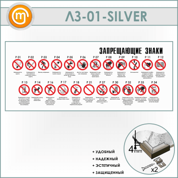 ����� ������������ ����� (LZ-01-SILVER)