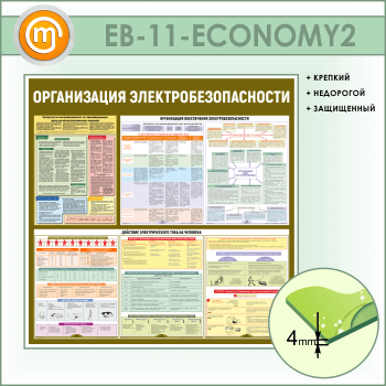 ����� ������������ ������������������� (EB-11-ECONOMY2)