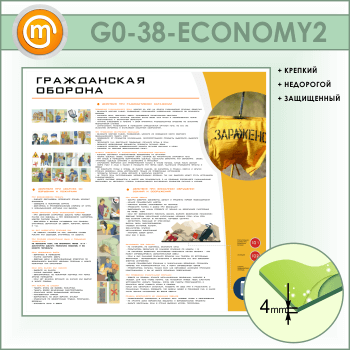 ����� ������������ ������� (GO-38-ECONOMY2)