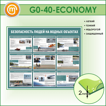 ����� ������������� ����� �� ������ ��������� (GO-40-ECONOMY)